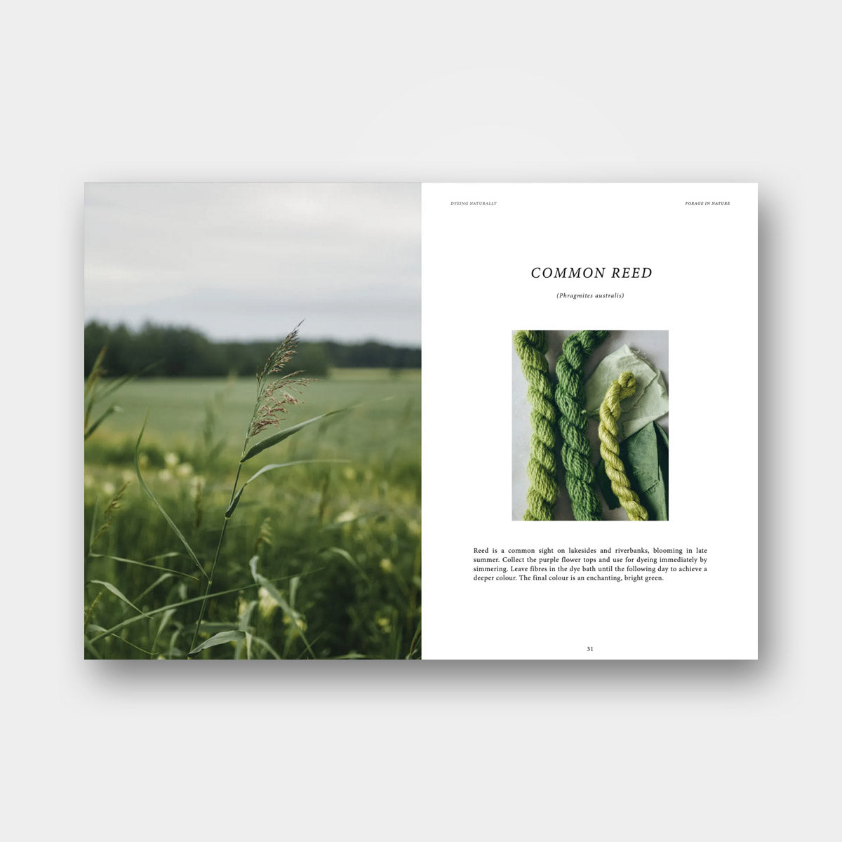 Dyeing Naturally - Emma Kylmälä