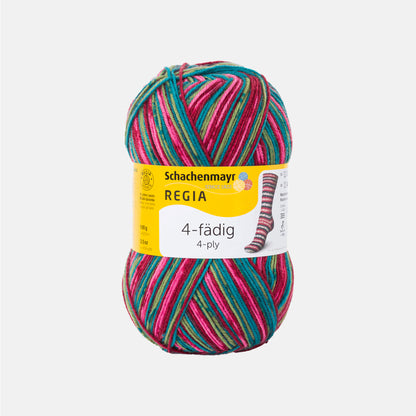 Pelote de 4-fädig (4-ply) de Regia coloris 7707 Schneeanzug