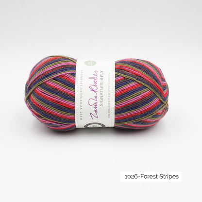 Signature 4 ply - West Yorkshire Spinners (variées)