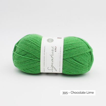 Pelote de Signature de West Yorkshire Spinners coloris Chocolate Lime (vert prairie)