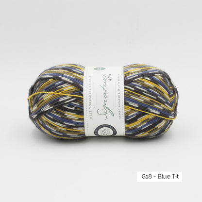 Signature 4 ply - West Yorkshire Spinners (variées)