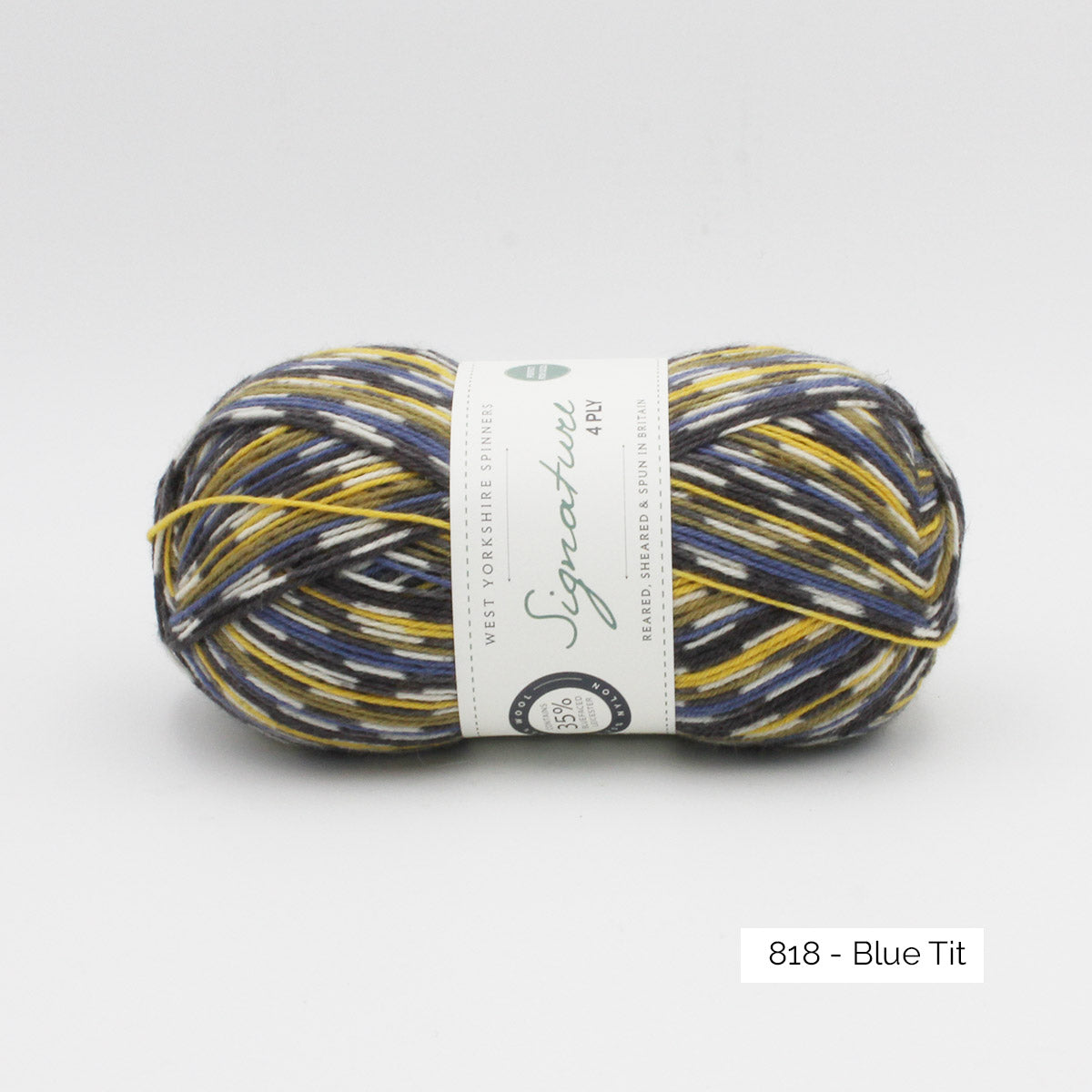 Une pelote de Signature 4ply de West Yorkshire Spinners coloris Blue Tit