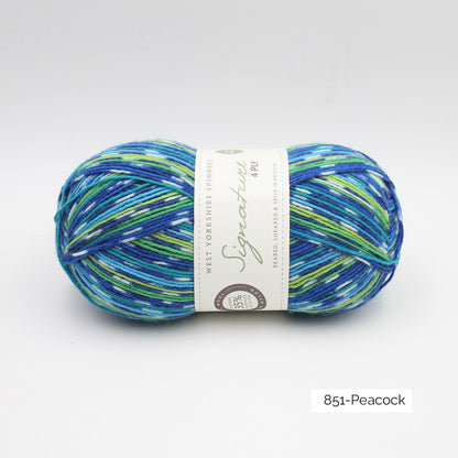 Signature 4 ply - West Yorkshire Spinners (variées)