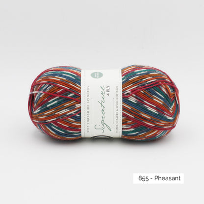 Signature 4 ply - West Yorkshire Spinners (variées)