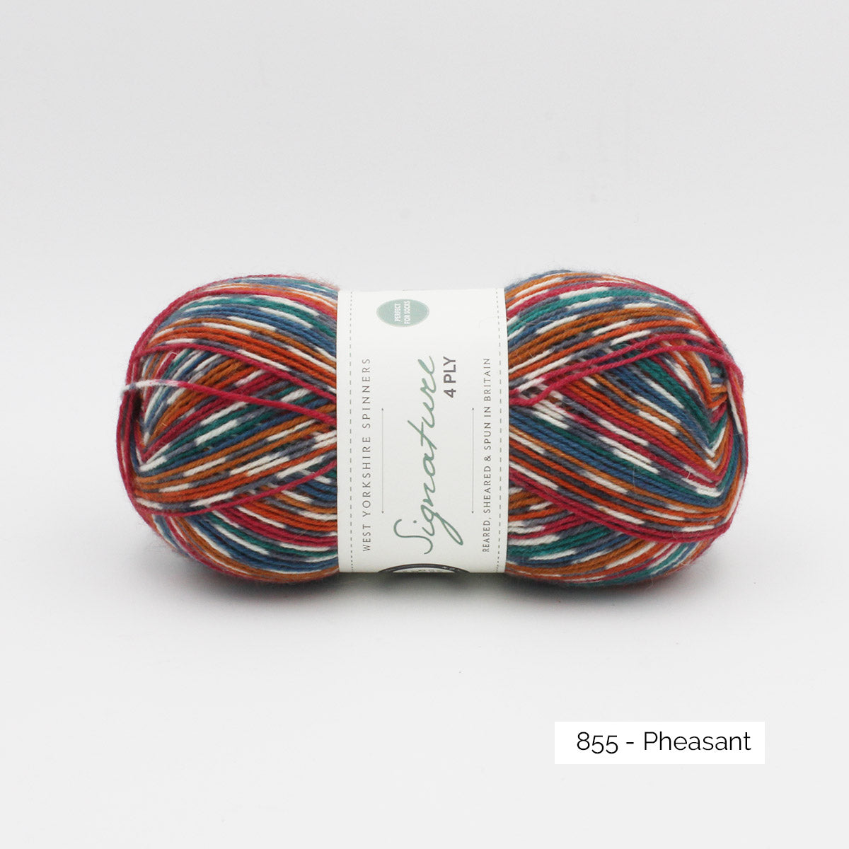 Une pelote de Signature 4ply de West Yorkshire Spinners coloris Pheasant