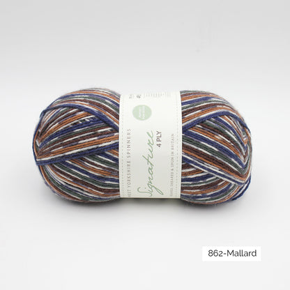 Signature 4 ply - West Yorkshire Spinners (variées)