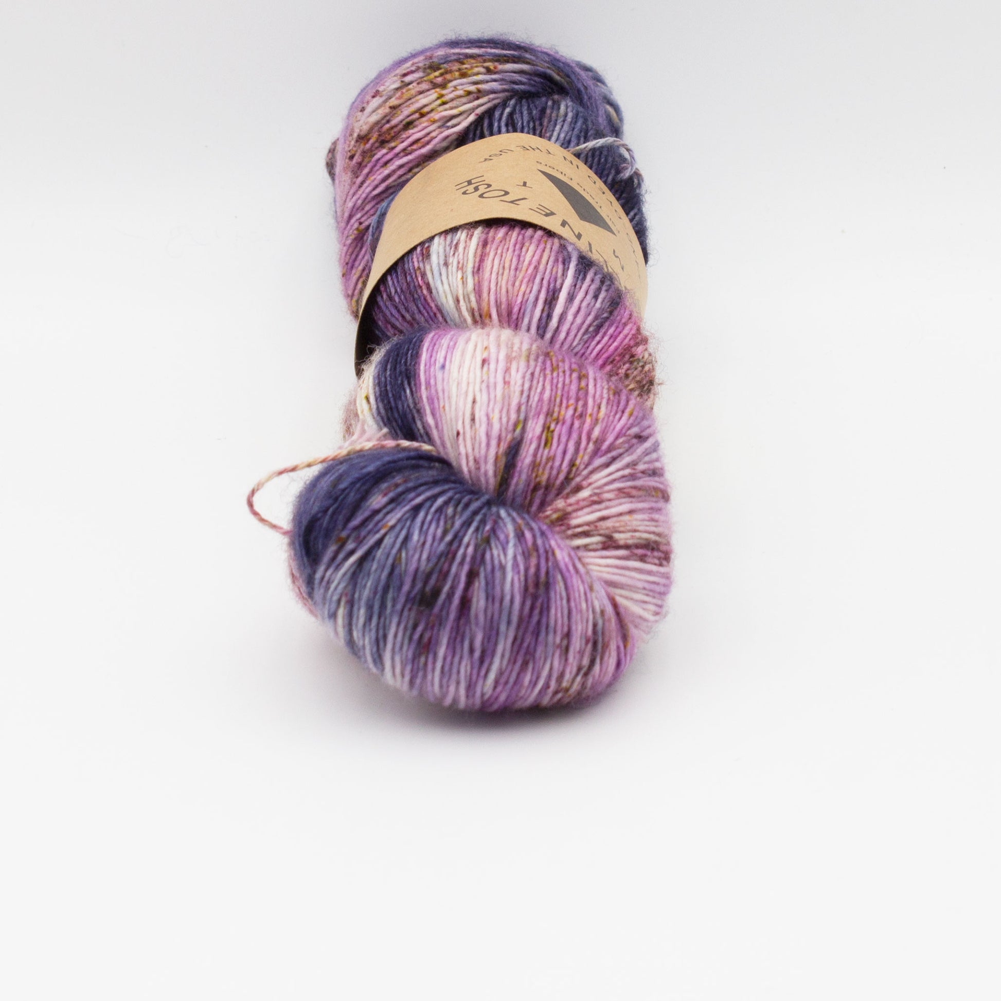 Gros plan sur un écheveau de Tosh Merino Light (TML) de Madeline Tosh coloris Pluot