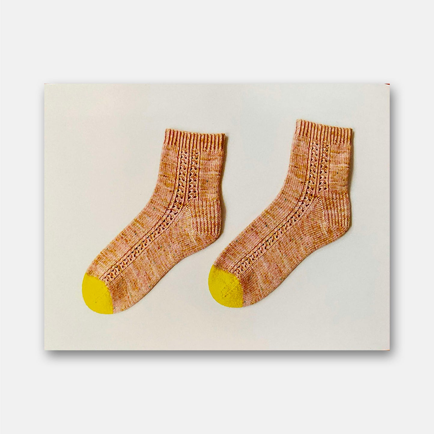 The Sock Project - Summer Lee