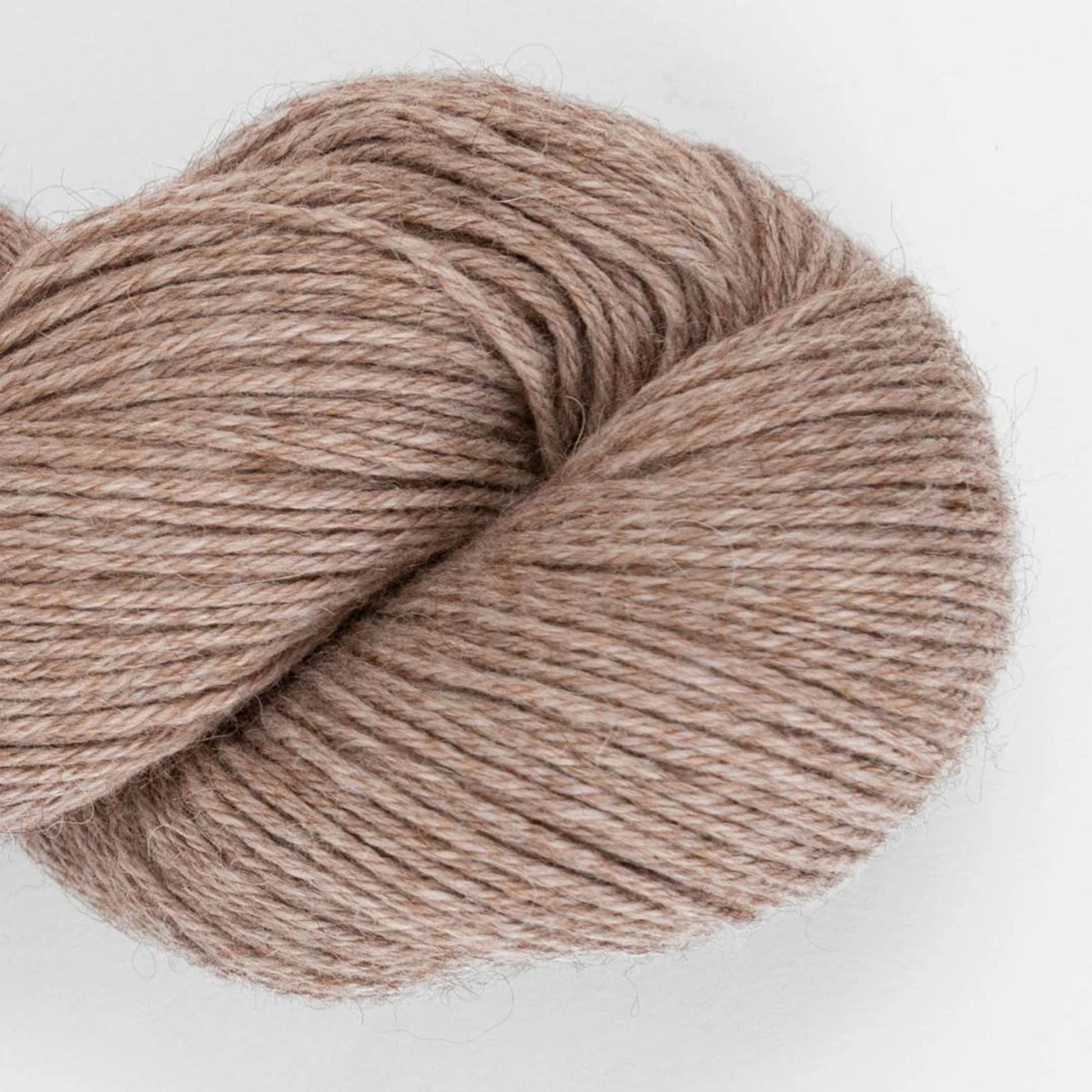 Duna de Amano Yarns coloris 2605 Arid