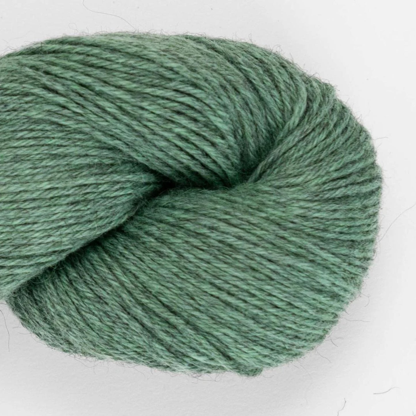 Duna de Amano Yarns coloris 2609 Cactus