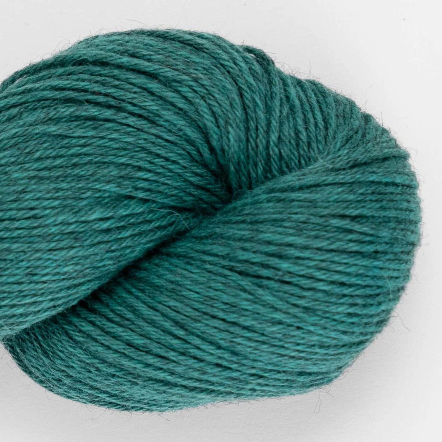Duna de Amano Yarns coloris 2617 Moor