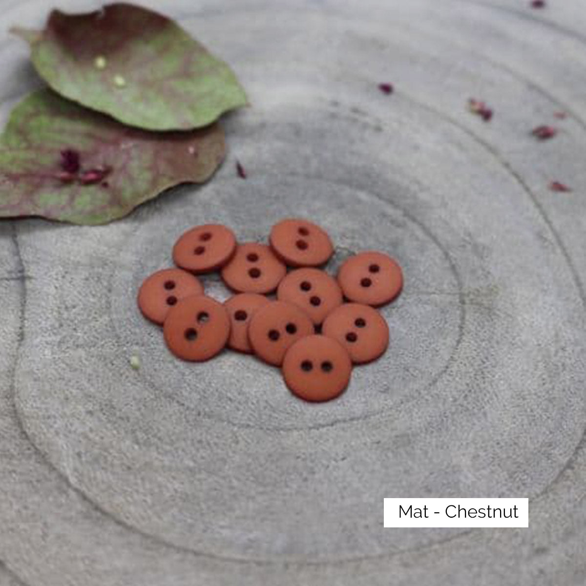 Boutons Classic Matte d'Atelier Brunette coloris Chestnut