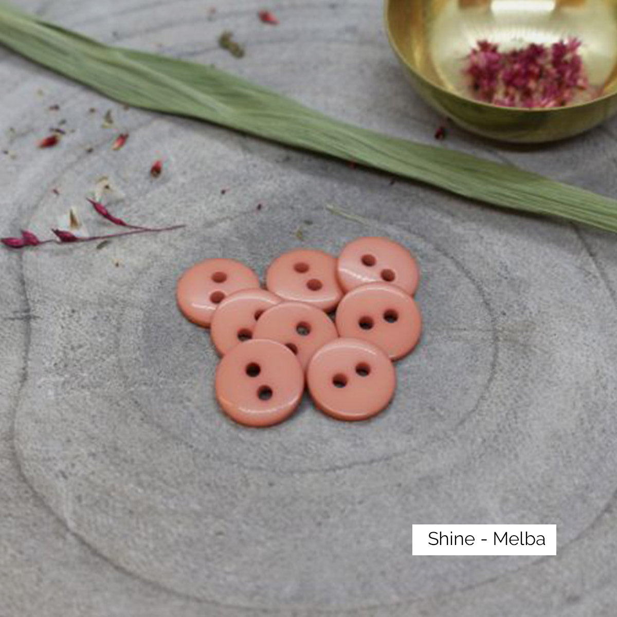 Boutons Classic Shine d'Atelier Brunette coloris Melba