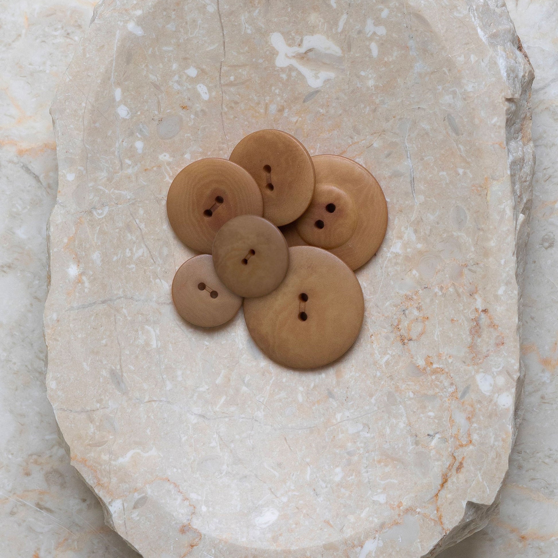  Boutons Palm d'Atelier Brunette coloris Iced Mocha