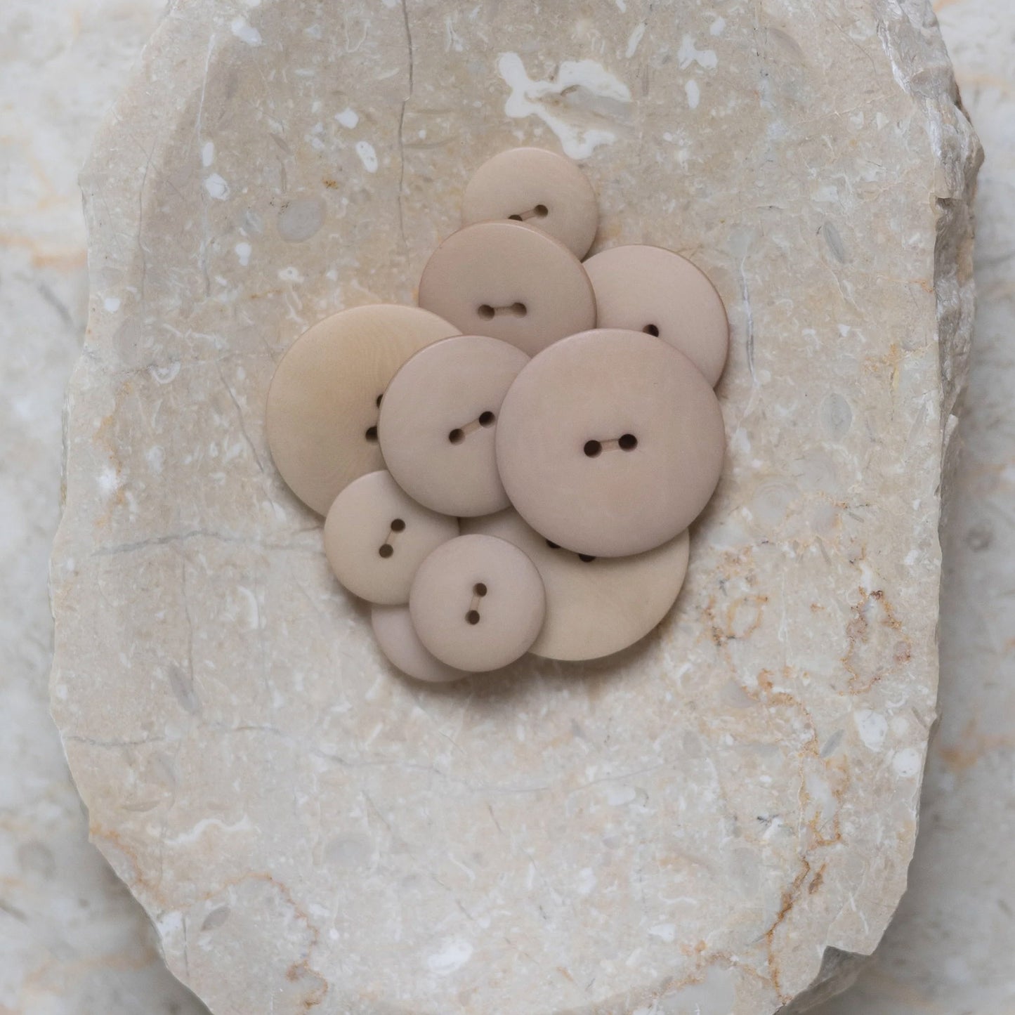 Boutons Palm d'Atelier Brunette coloris Millky Clay