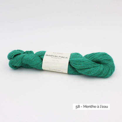 Echeveau de Baby Alpaca de BC Garn, coloris 58 Menthe à l'eau (vert émeraude clair)