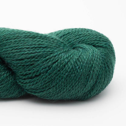 Texture et couleur d'un écheveau de Baby Alpaca de BC Garn coloris 59 Forêt