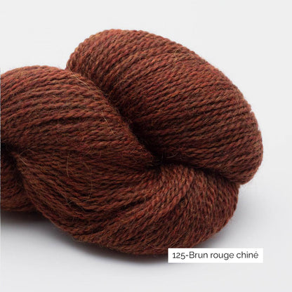 Texture et couleur d'un écheveau de Baby Alpaca de BC Garn coloris Brun Rouge Chiné