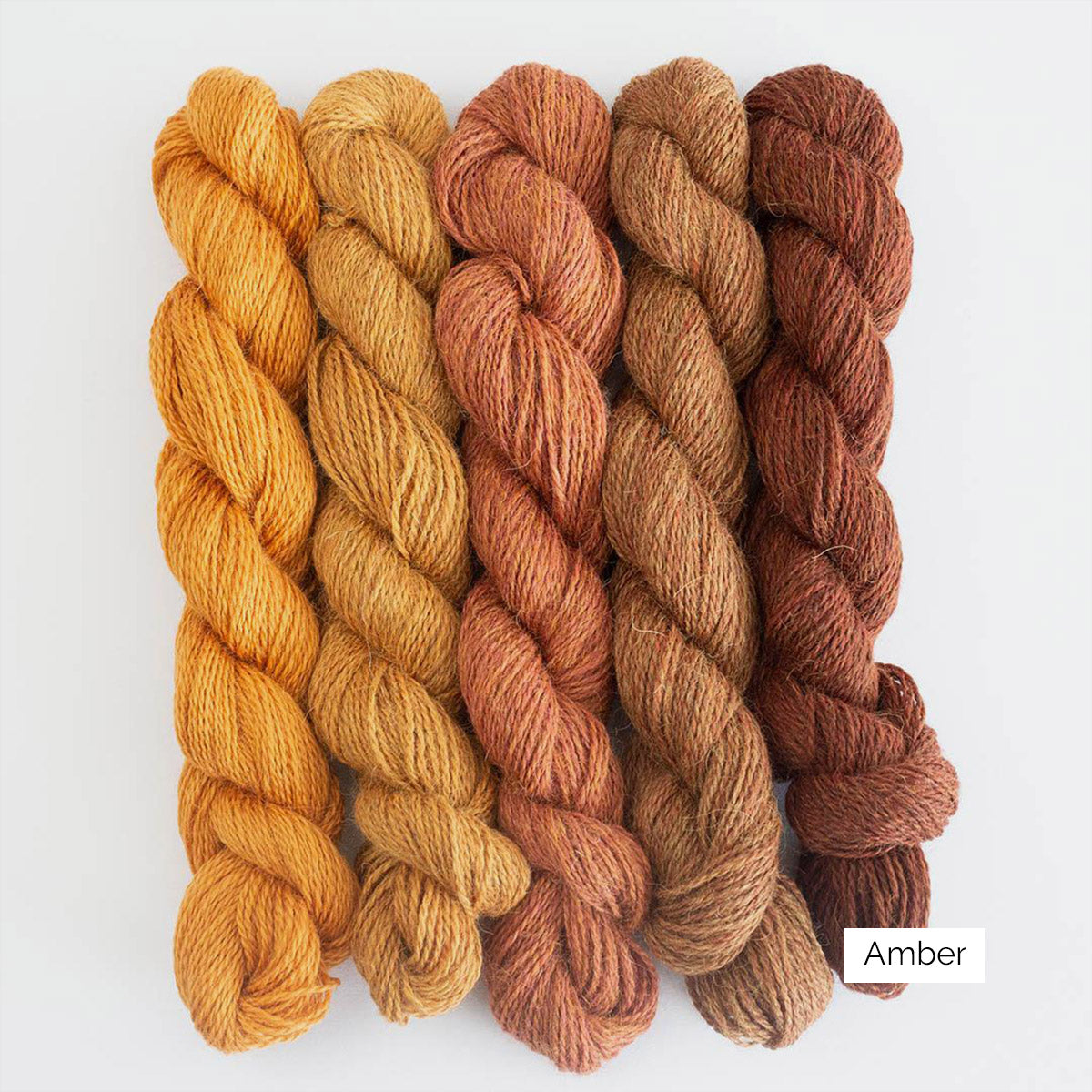 Set de 5 mini-écheveaux de Baby Alpaca de BC Garn dans des teintes assorties, coloris Amber (jaune orangé à brun)