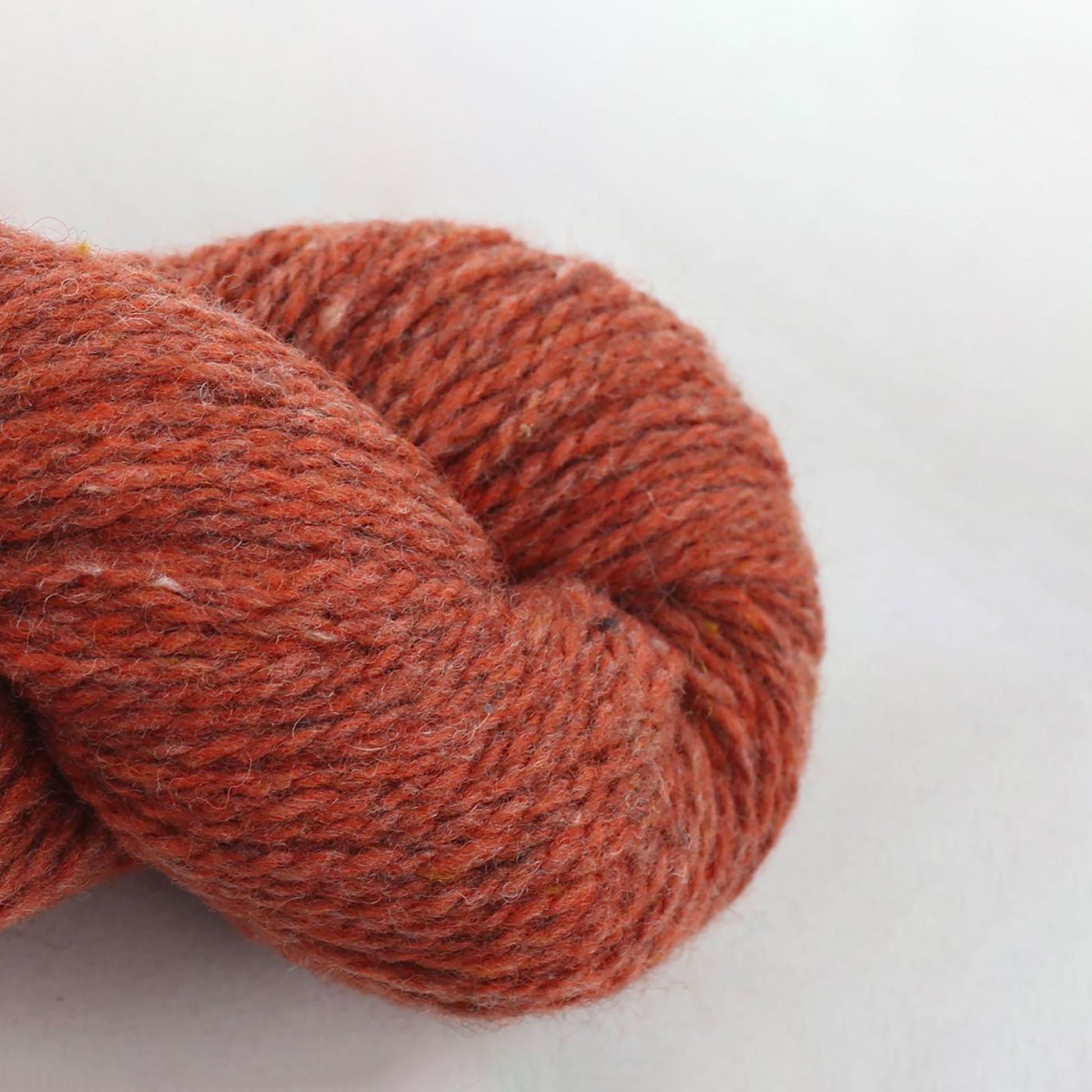 Echeveau de Loch Lomond GOTS de BC Garn coloris 09 Copper