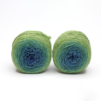 Duo de gradient de Bilum Yarns coloris 331 Sebi