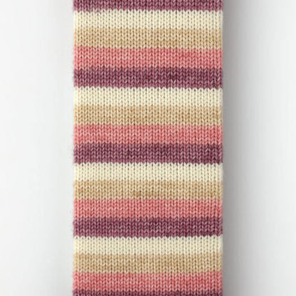 Laine à chaussettes autorayante Fingering 85/15 Le Bruit des Aiguilles coloris Rory