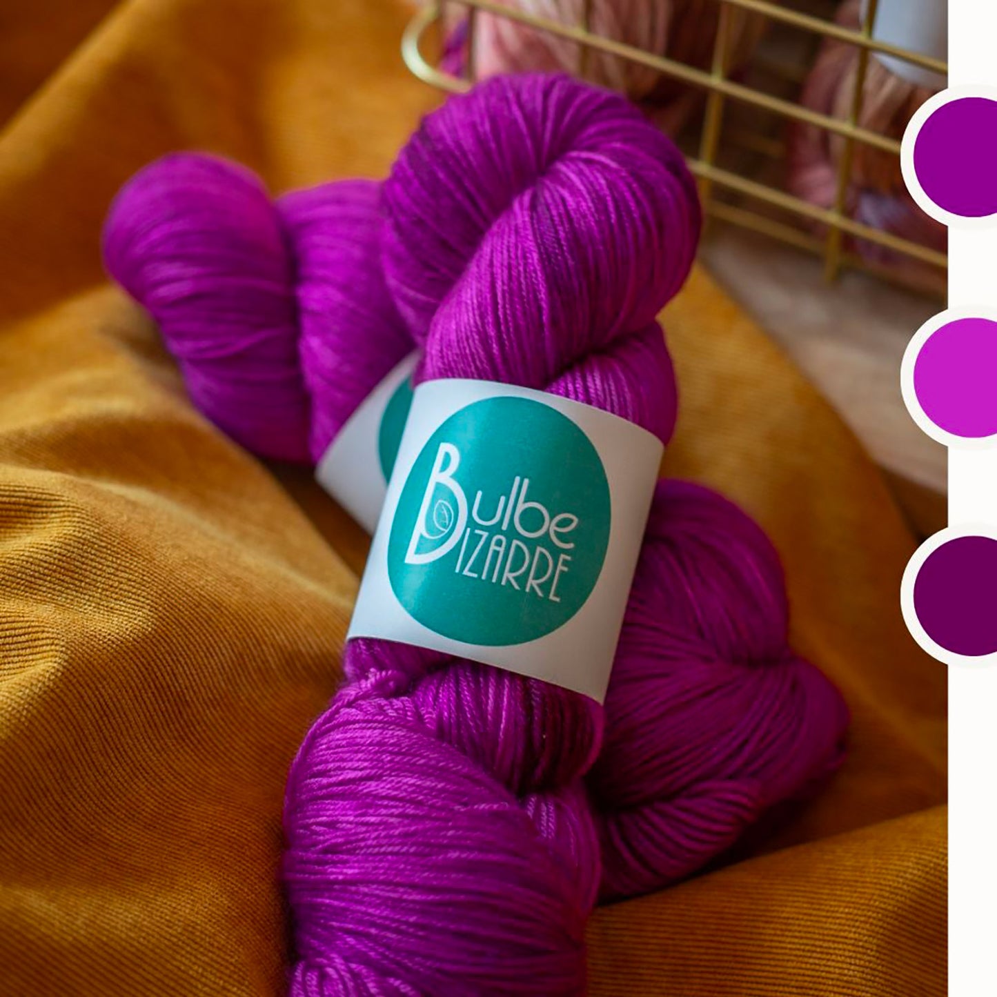  Echeveaux de Bulbe Bizarre coloris Bougainvilliers