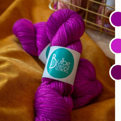  Echeveaux de Bulbe Bizarre coloris Bougainvilliers