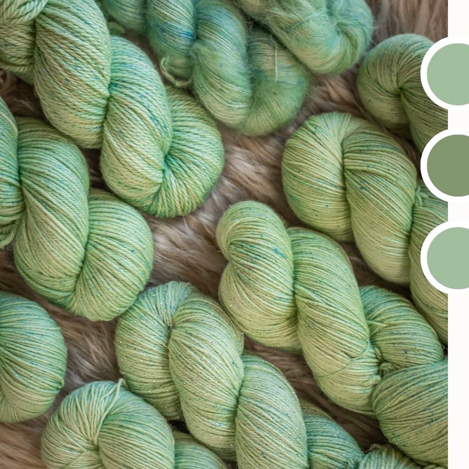 Echeveaux de Bulbe Bizarre coloris Rando