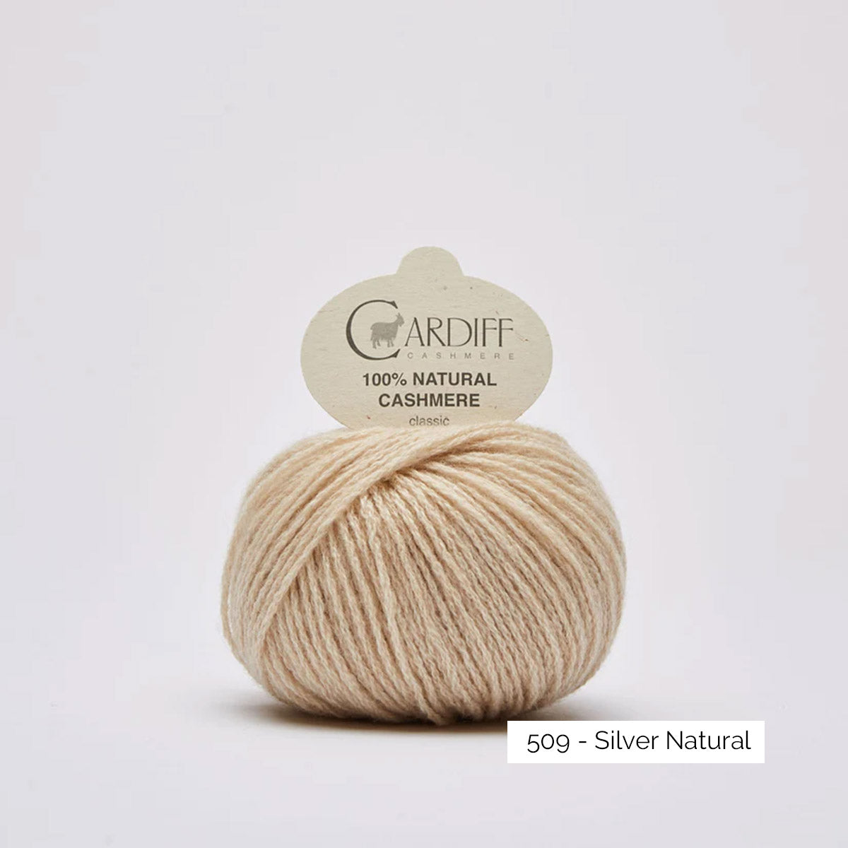 Pelote de cachemire Classic de Cardiff Cashmere coloris 509 Silver Natural