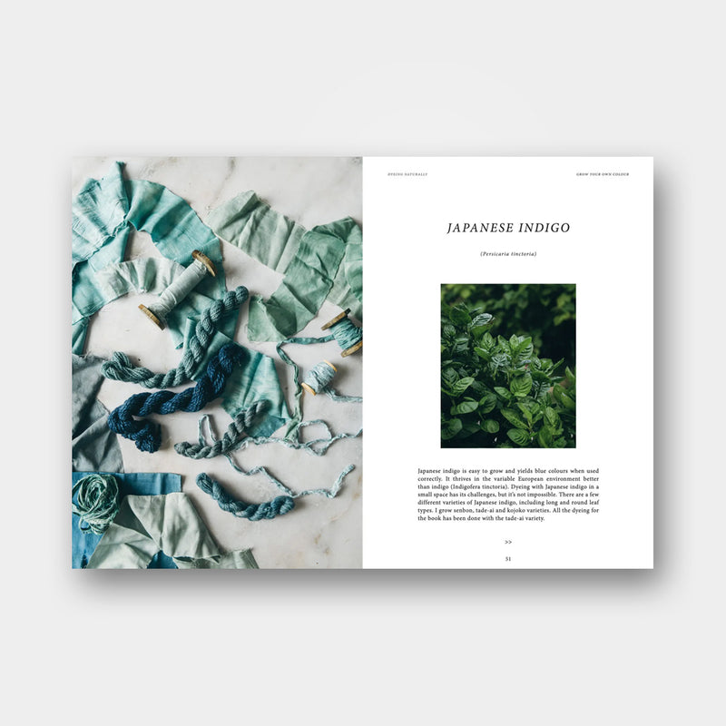 Dyeing Naturally - Emma Kylmälä