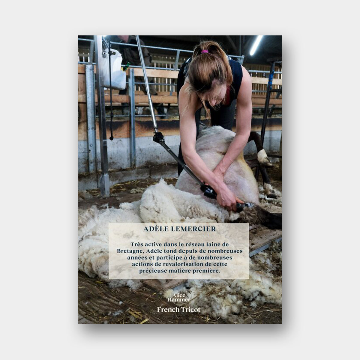 Page de présentation de l'article sur Adèle Lemercier, tondeuse de moutons en Bretagne, paru dans le livre French Tricot d'Alice Hammer aux éditions Eyrolles