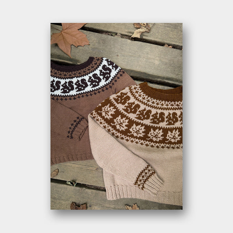 Jolis Pulls d'Hiver en Jacquard - Morgane Mazevet