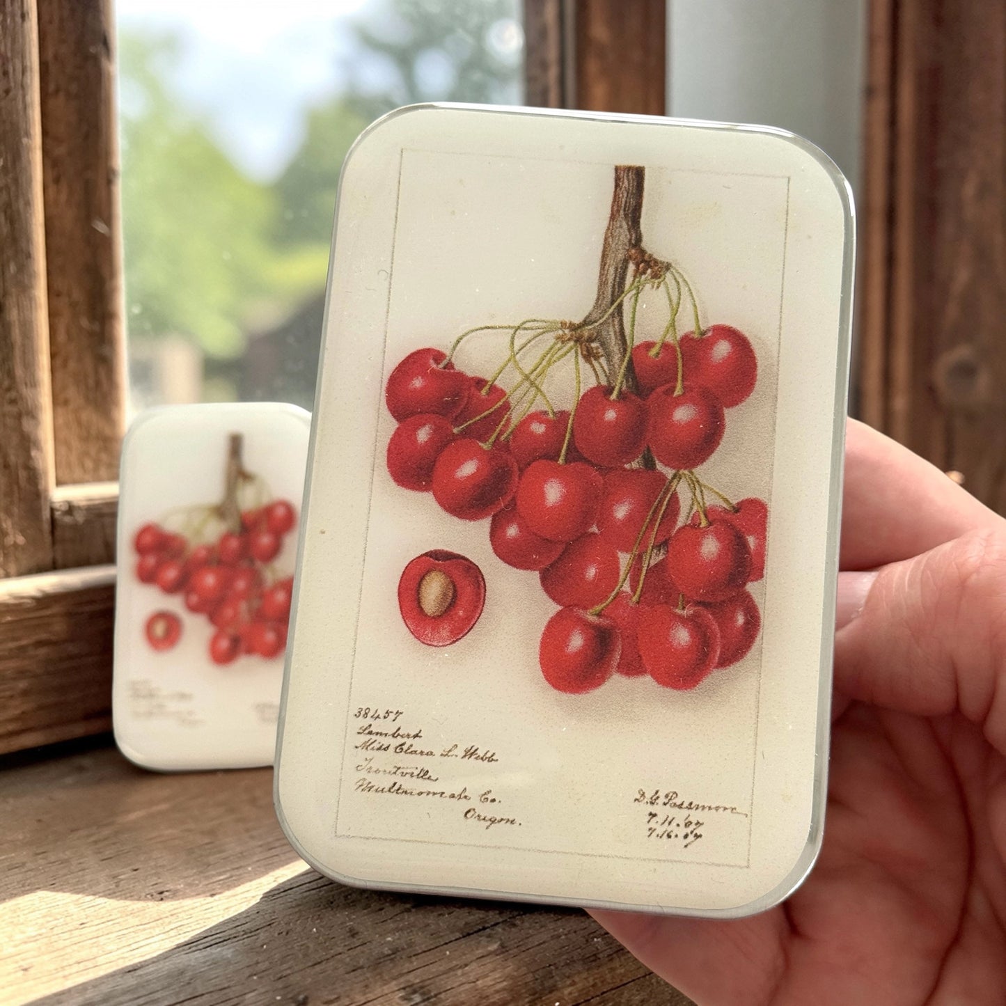 Boîte de rangement Firefly Notes, modèle Botanical Cherry, taille Large