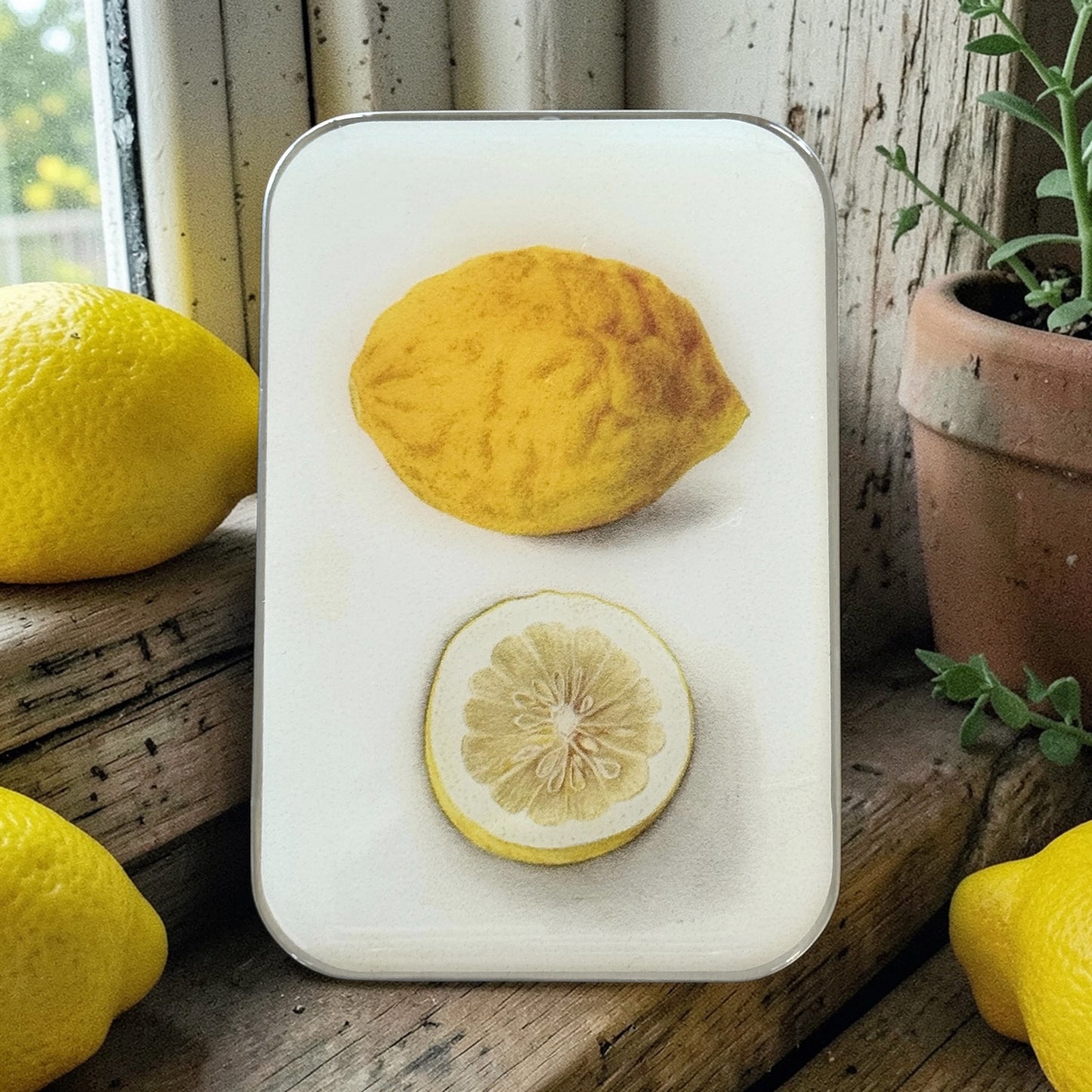 Boîte de rangement Firefly Notes, modèle Botanical Lemon, taille Large