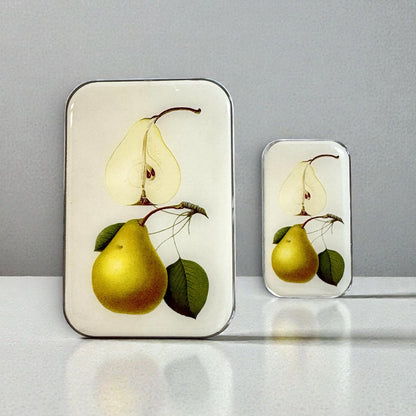Boîte de rangement Firefly Notes, modèle Botanical Pear, taille Large
