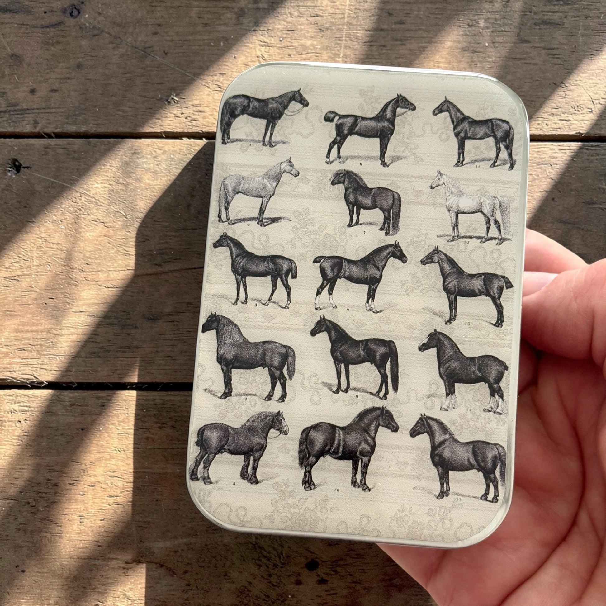 Boîte de rangement Firefly Notes, modèle Study of Horses, taille Large