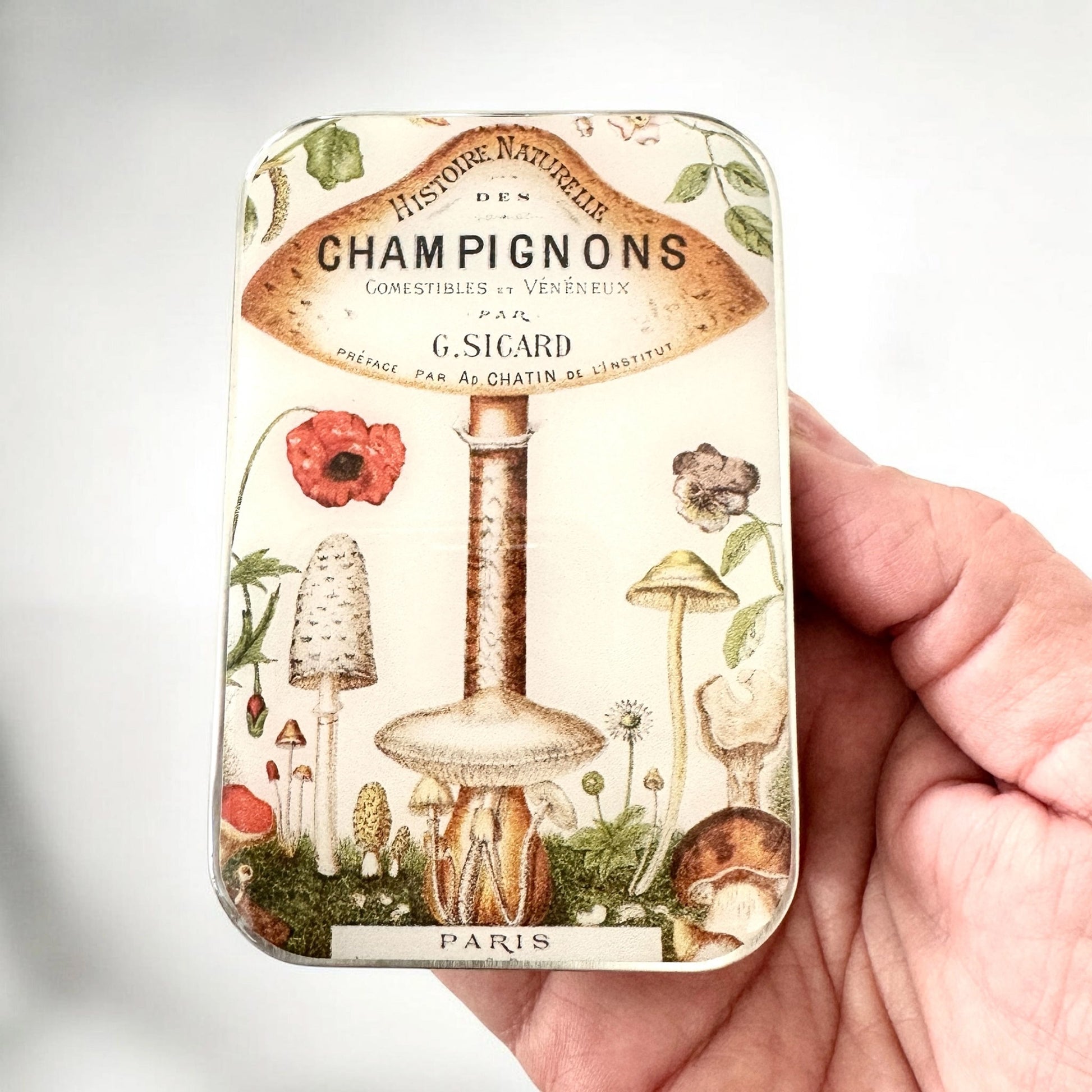 Boîte de rangement Firefly Notes, modèle Vintage Mushroom, taille Large