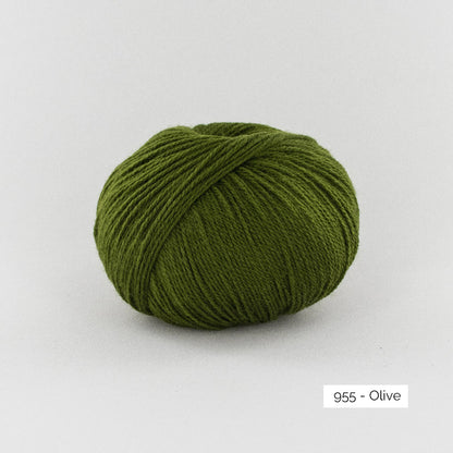 Pelote de mérinos extrafin superwash BB Mérinos de Fonty, coloris 955 Olive