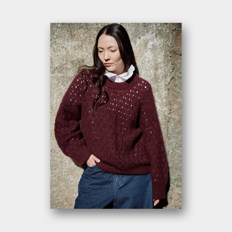 Laine Magazine Vol. 30 (pré-commande)