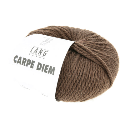 Pelote de Carpe Diem de Lang Yarns coloris 167 Marron Froid
