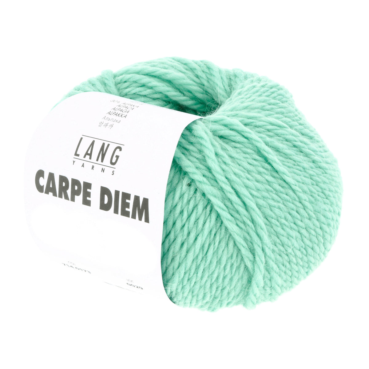 Pelote de Carpe Diem de Lang Yarns coloris 173 Menthe