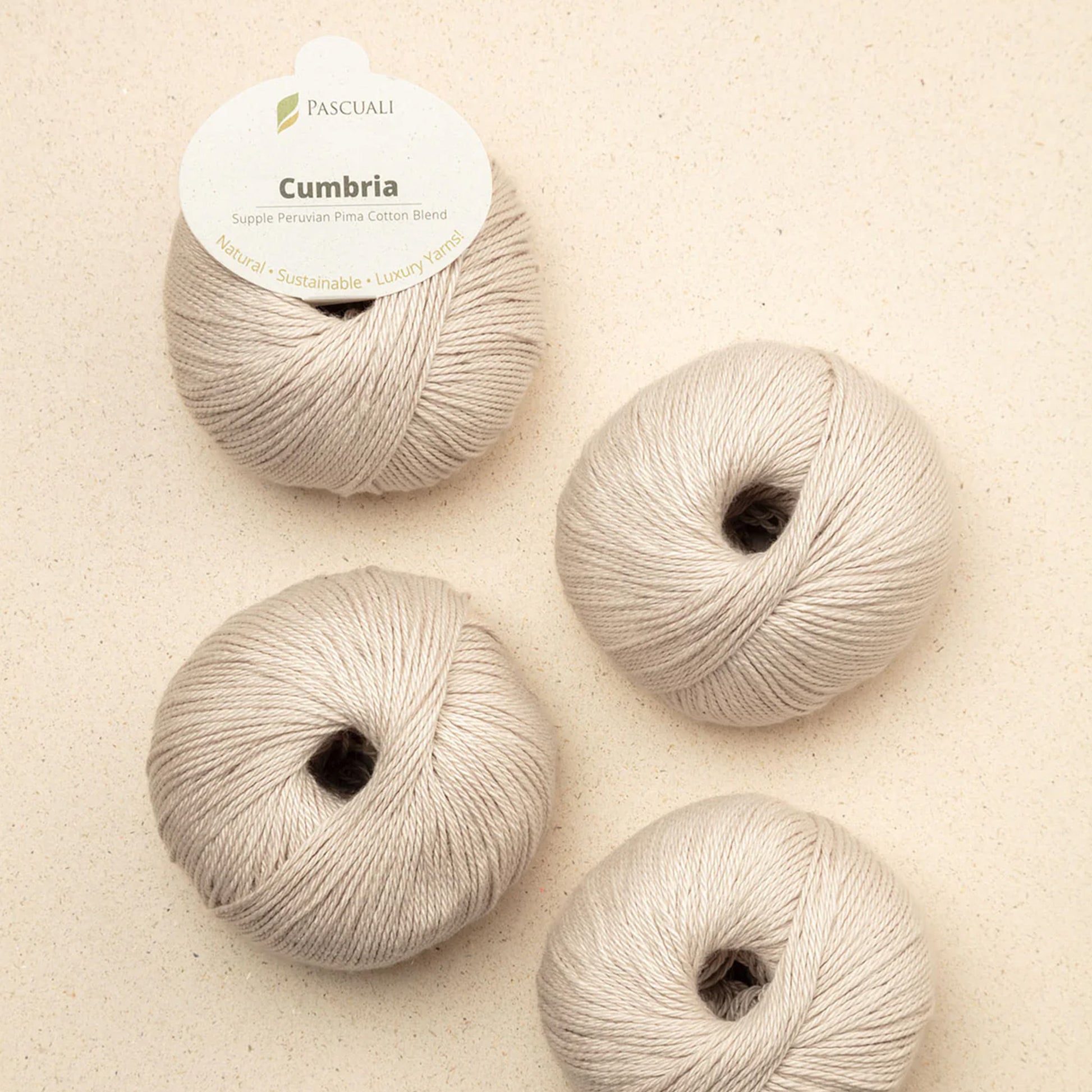 Pelote de Cumbria de Pascuali coloris 301 Sable