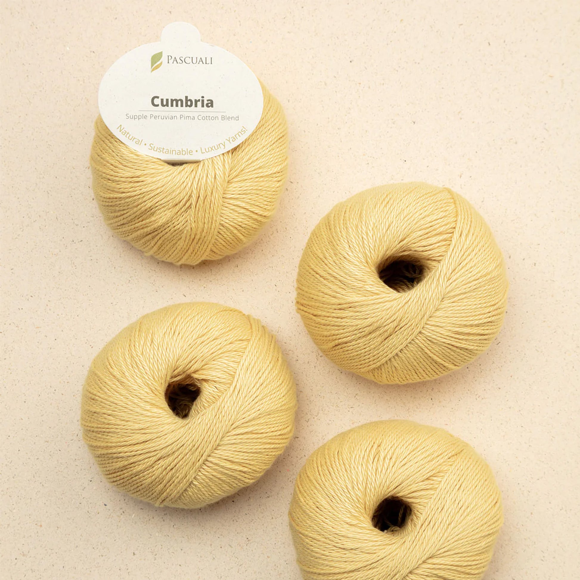 Pelote de Cumbria de Pascuali coloris 303 Jaune Pastel