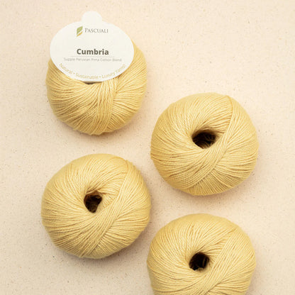 Pelote de Cumbria de Pascuali coloris 303 Jaune Pastel
