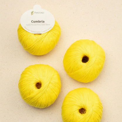 Pelote de Cumbria de Pascuali  coloris 305 Citron