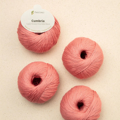 Pelote de Cumbria de Pascuali, coloris 309 Ecrevisse