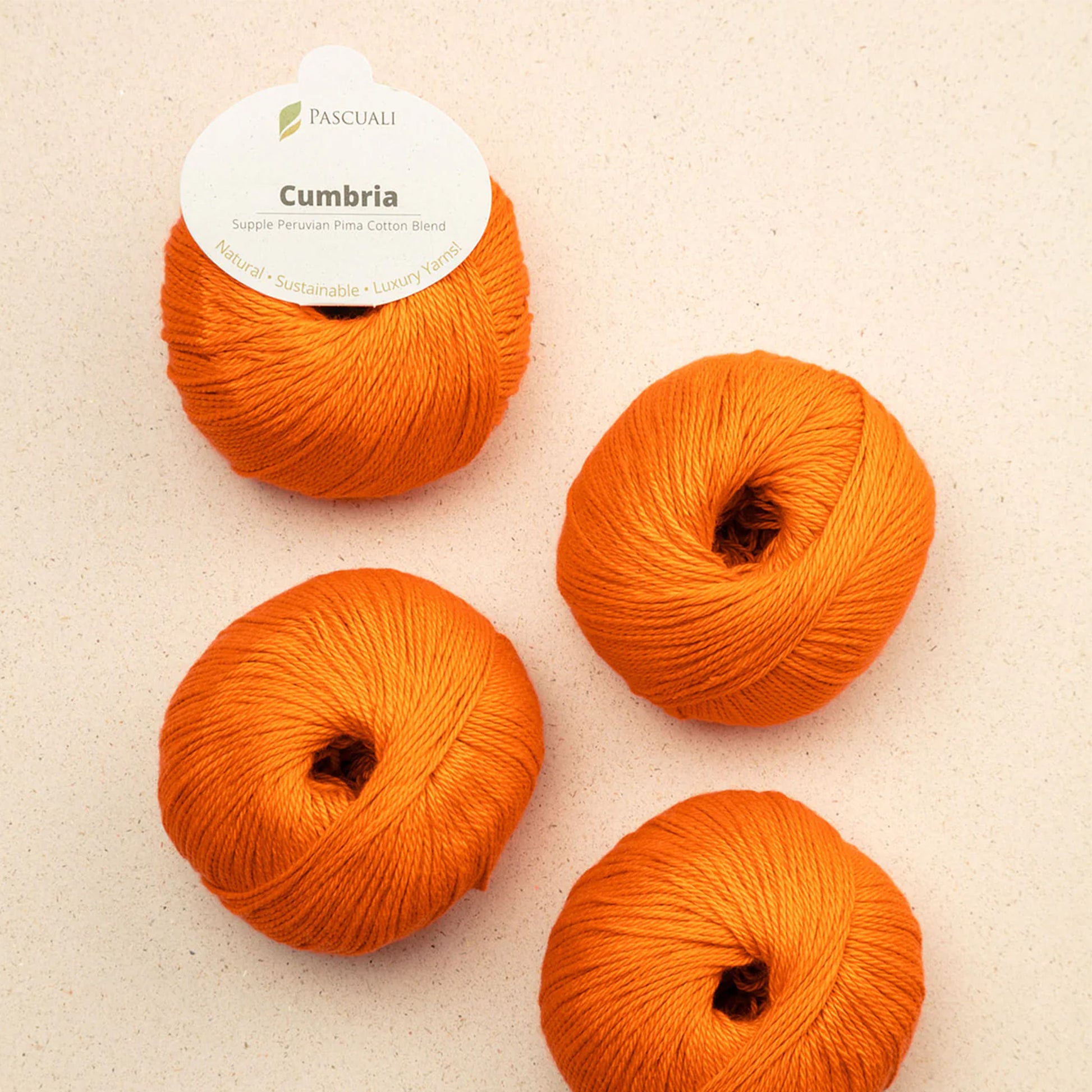 Pelote de Cumbria de Pascuali, coloris 311 Curcuma