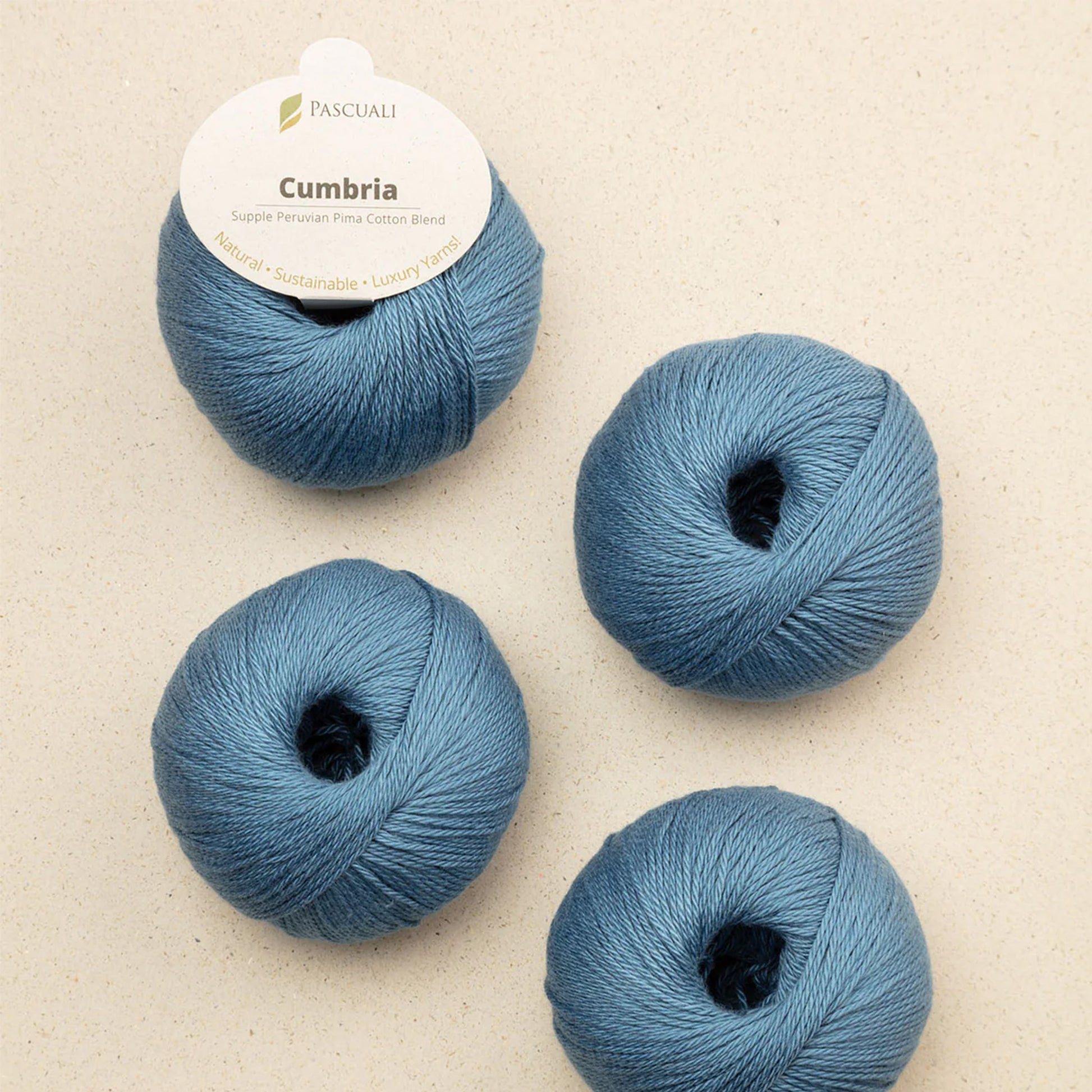 Pelote de Cumbria de Pascuali, coloris 321 Denim