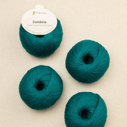 Pelote de Cumbria de Pascuali, coloris 323 Vert Pétrole